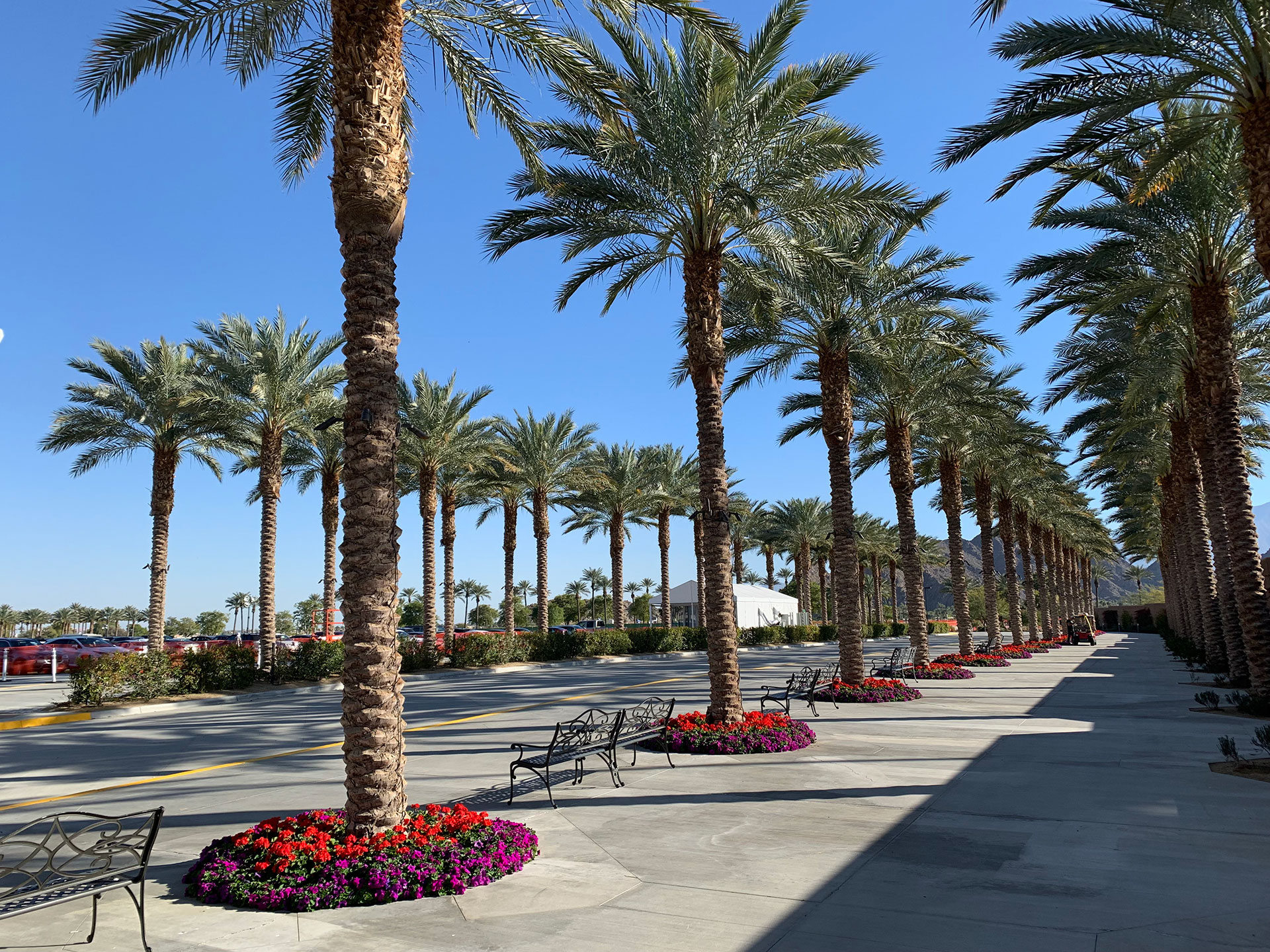 Indian Wells Oracle Challenger Series 8