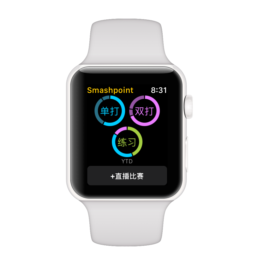 Smashpoint Apple Watch Chinese