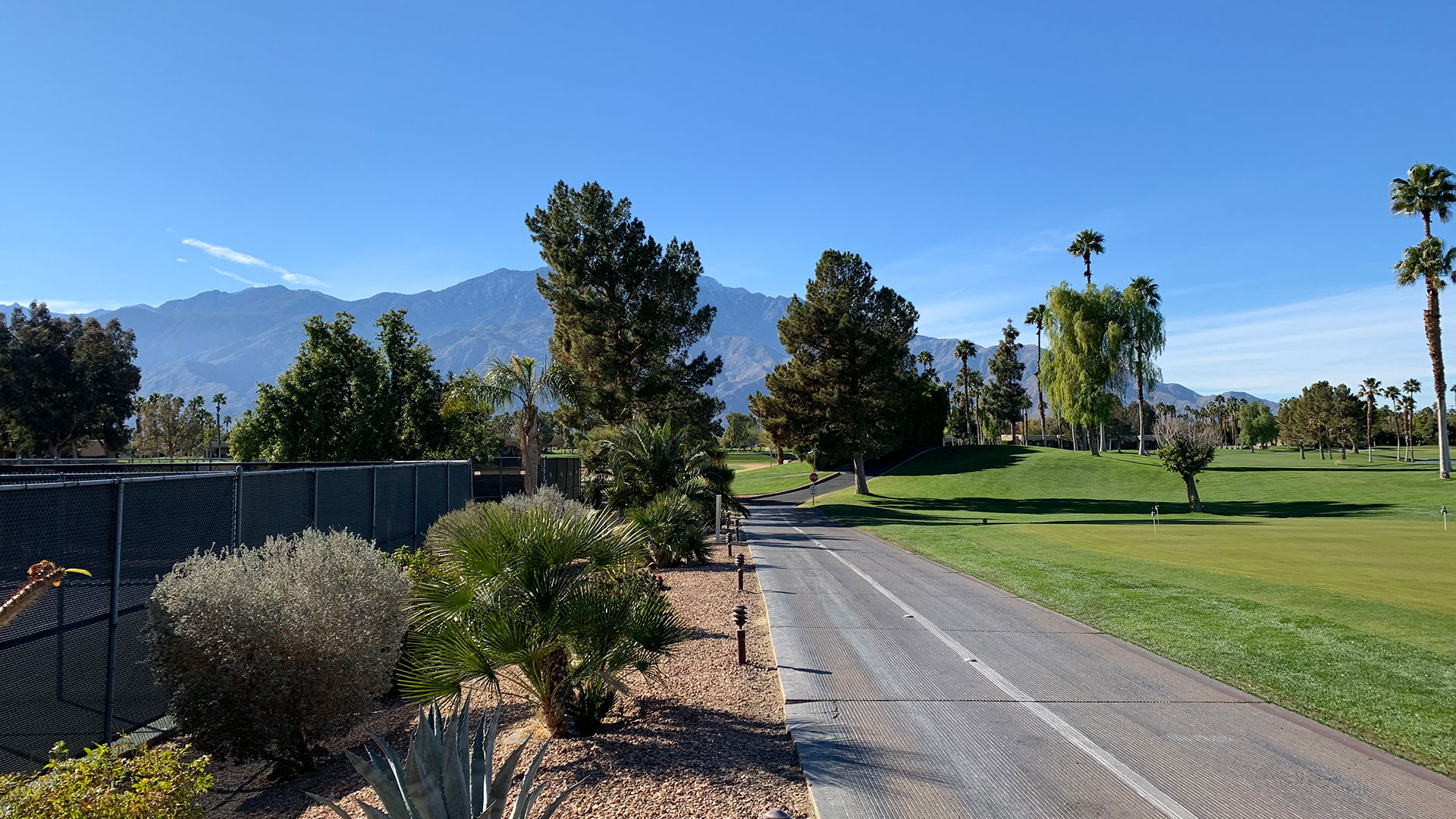 Desert Princess Palm Springs